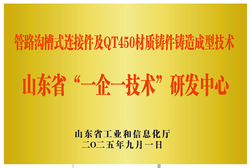 山東省“一企一技術”研發中心